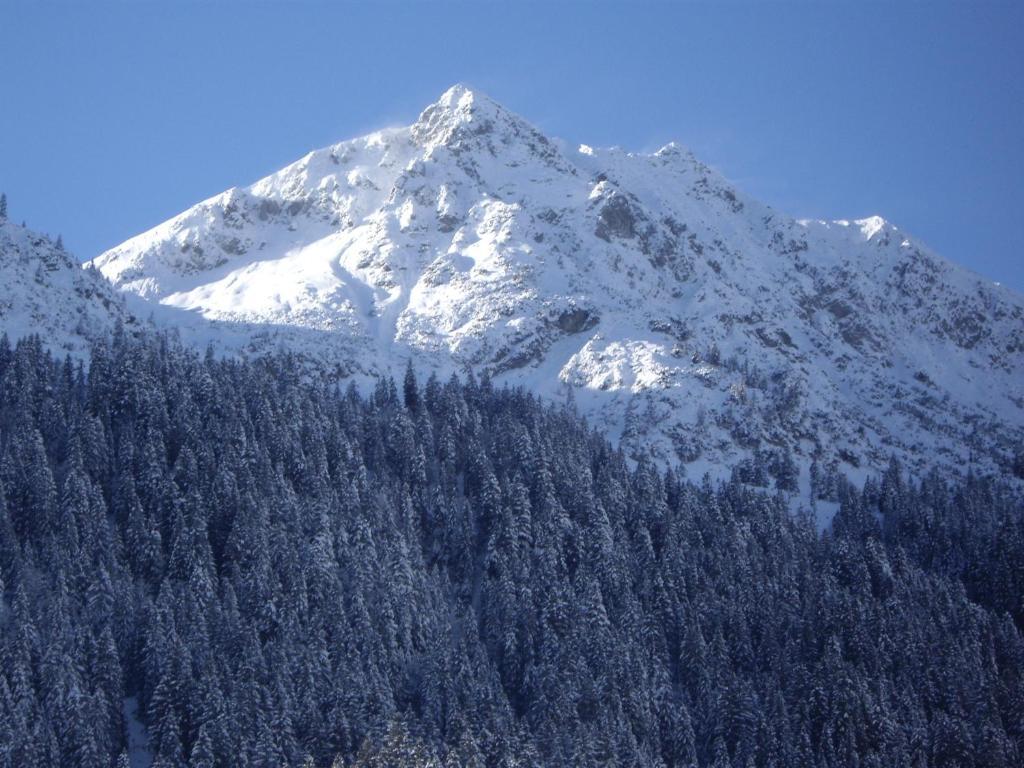 Gasthof Kollenspitze Otel Nesselwängle Dış mekan fotoğraf