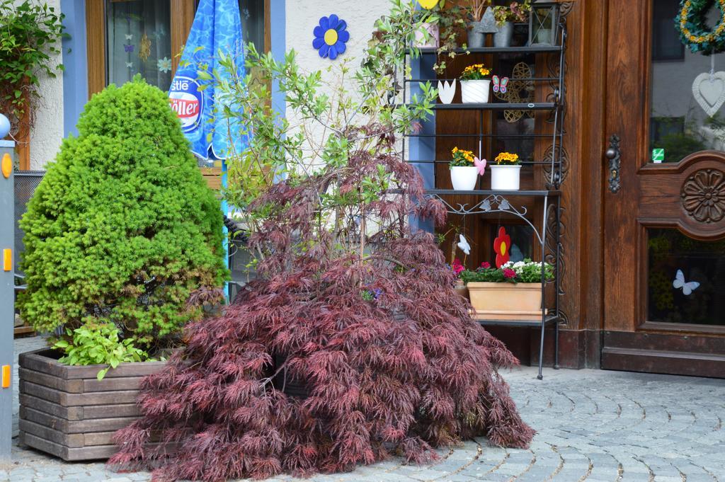 Gasthof Kollenspitze Otel Nesselwängle Dış mekan fotoğraf